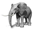 elephant.gif 133x117