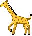 giraffe2.jpg 65x72